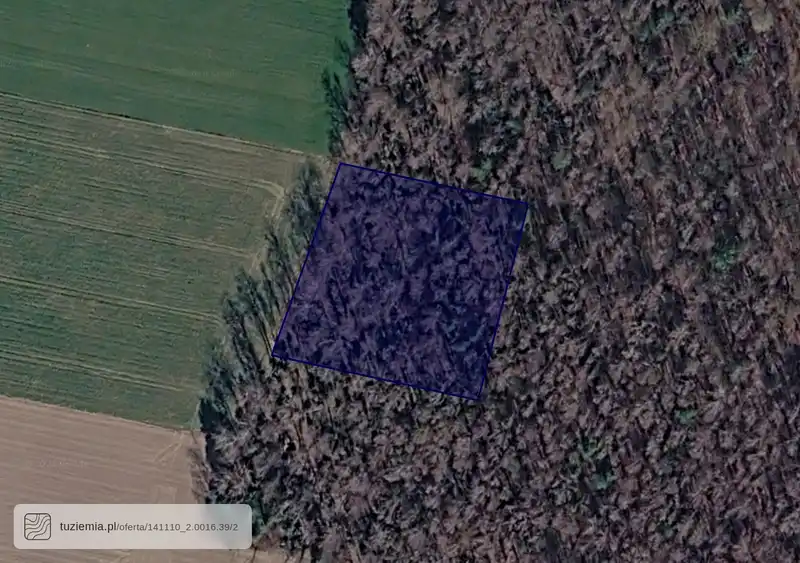 Działka na sprzedaż Pomaski Wielkie