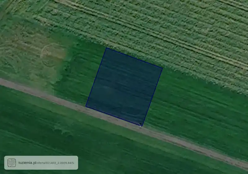 Działka na sprzedaż Miodary