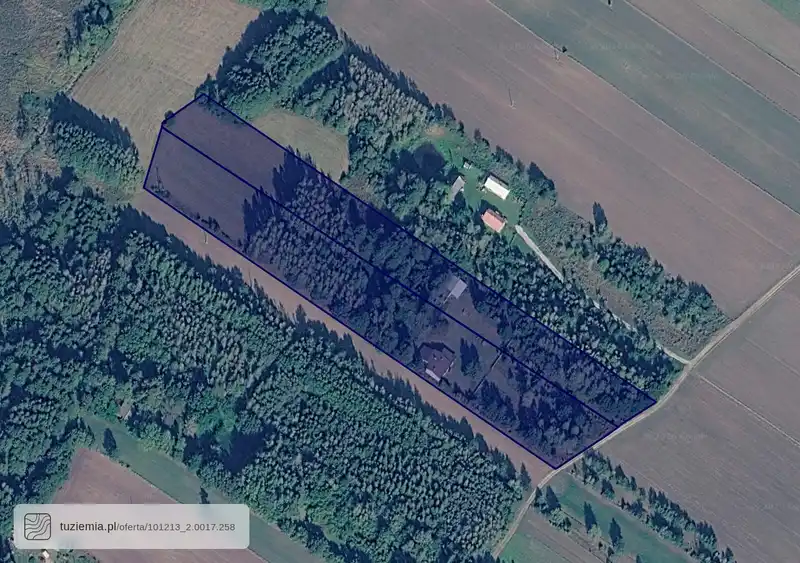 Działka na sprzedaż Wielgomłyny