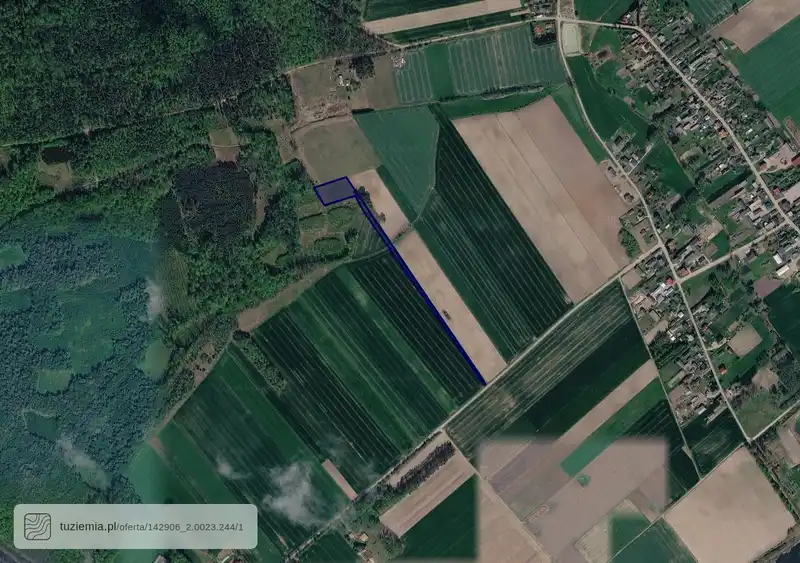 Działka na sprzedaż Rogów