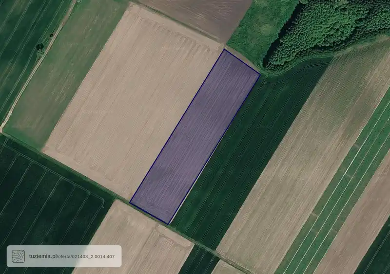 Działka na sprzedaż Strzelce