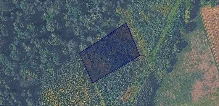 Działka na sprzedaż - PODKARPACKIE, strzyżowski, Wiśniowa, Niewodna 84/1
