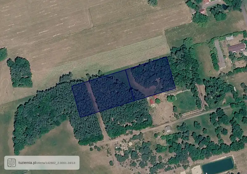 Działka na sprzedaż Andrzejów