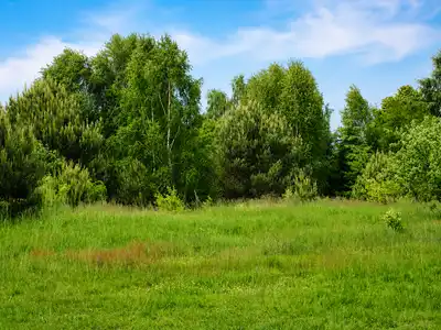 Zdjęcie 3