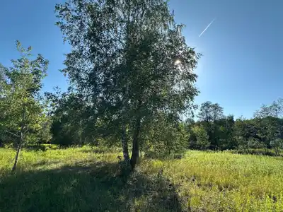 Zdjęcie 4