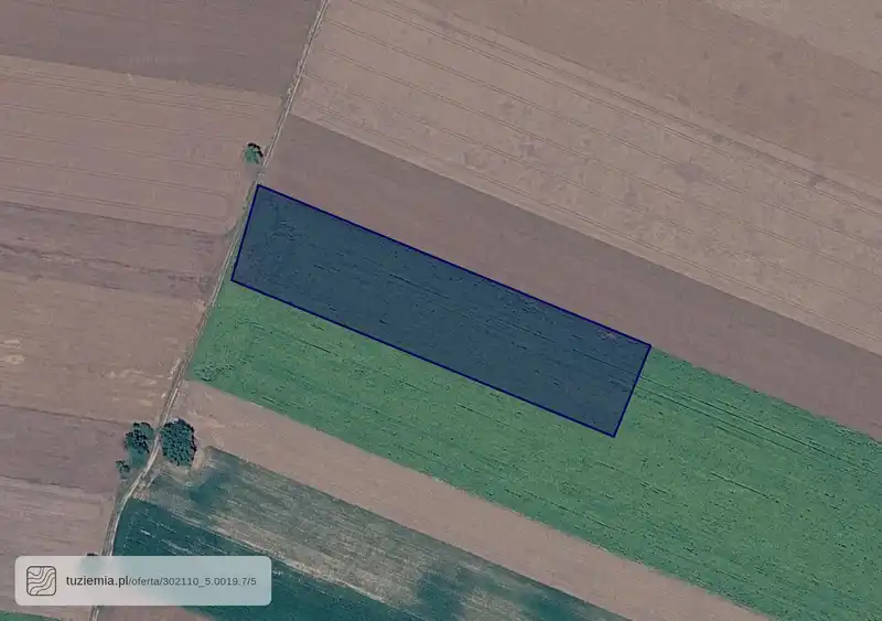 Działka na sprzedaż Rogalin