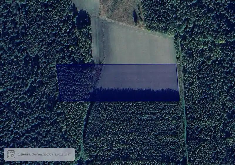 Działka na sprzedaż Hołody