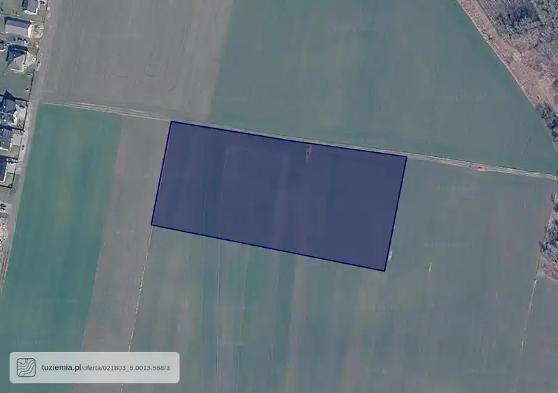 Działka na sprzedaż Lutynia