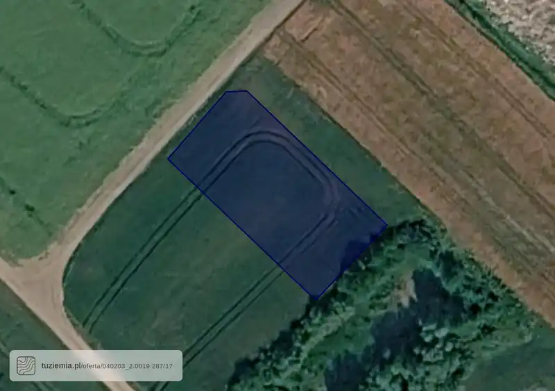 Działka na sprzedaż Szczuka