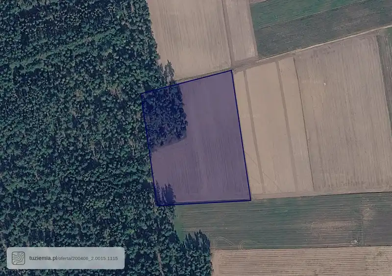 Działka na sprzedaż Wąsosz