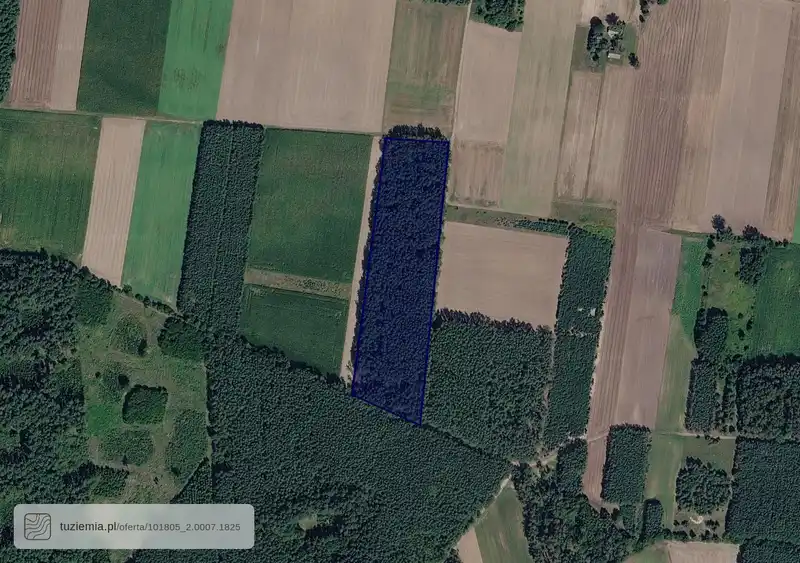 Działka na sprzedaż Wójcin