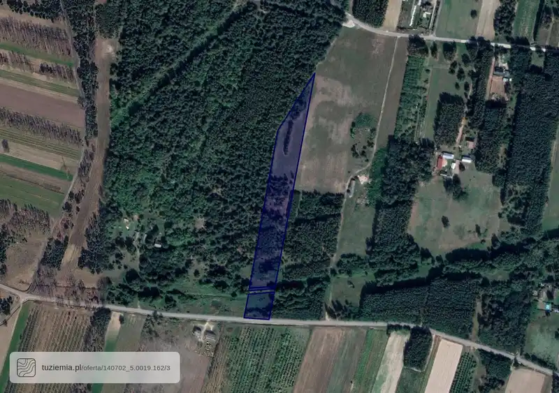 Działka na sprzedaż Lipa