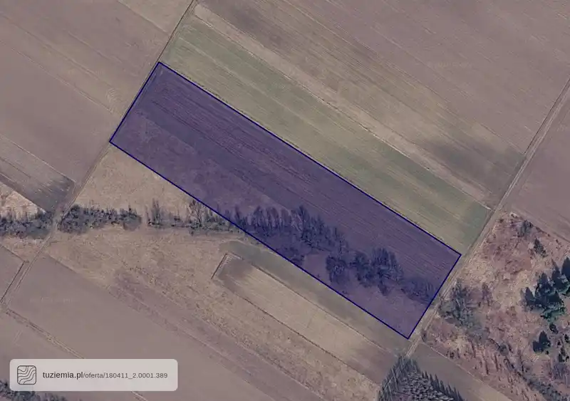 Działka na sprzedaż Cetula