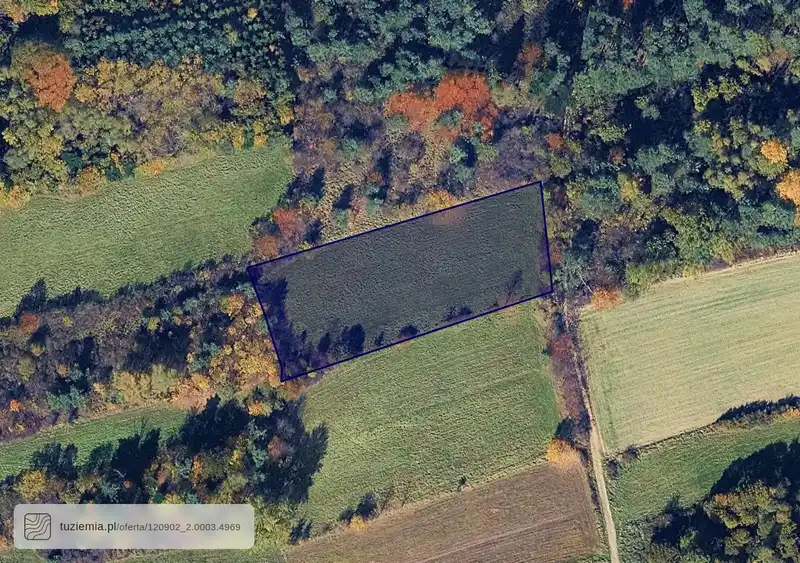 Działka na sprzedaż Krzeczów