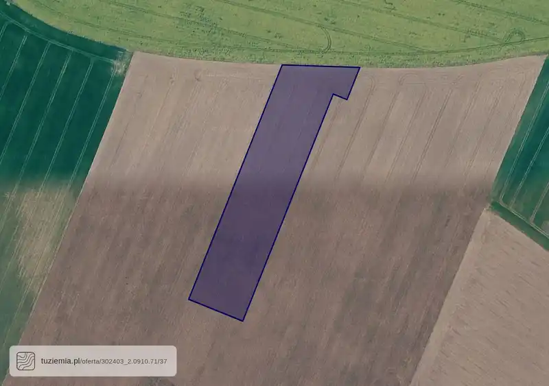Działka na sprzedaż Witkowice