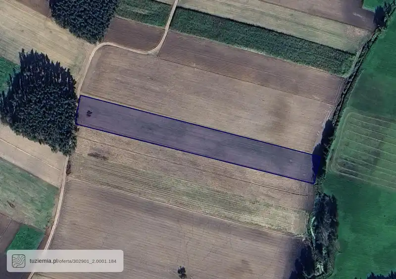 Działka na sprzedaż Bucz