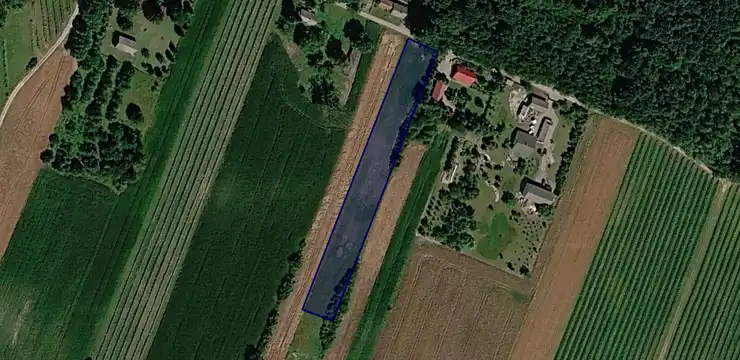 Działka na sprzedaż - LUBELSKIE, lubelski, Borzechów, Majdan Skrzyniecki 350/1