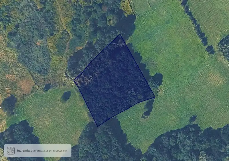 Działka na sprzedaż Borek Stary