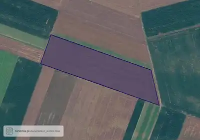 Zdjęcie 8