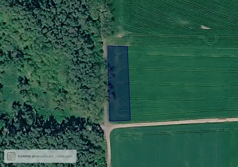 Działka na sprzedaż Lubosz