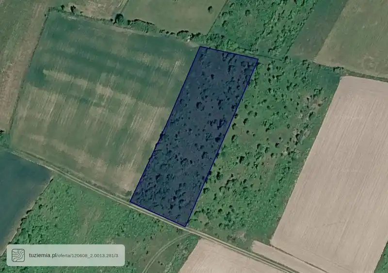 Działka na sprzedaż Wilczkowice