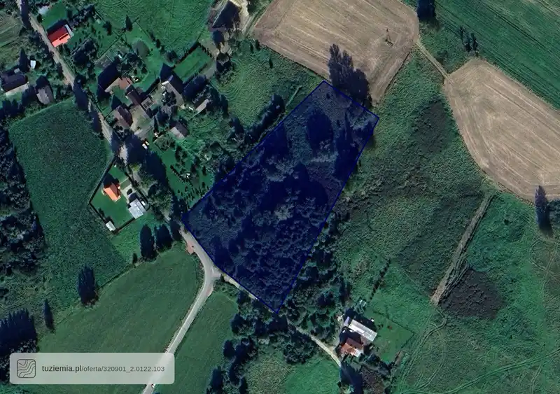 Działka na sprzedaż Wierzchominko