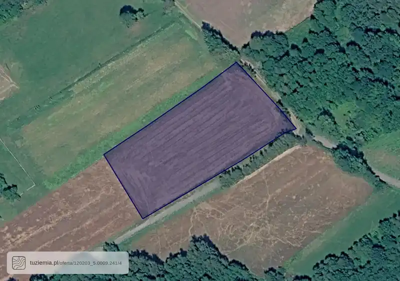 Działka na sprzedaż Złota