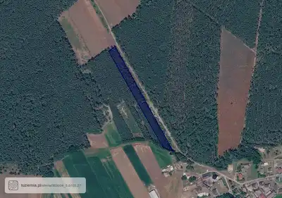 Zdjęcie 6