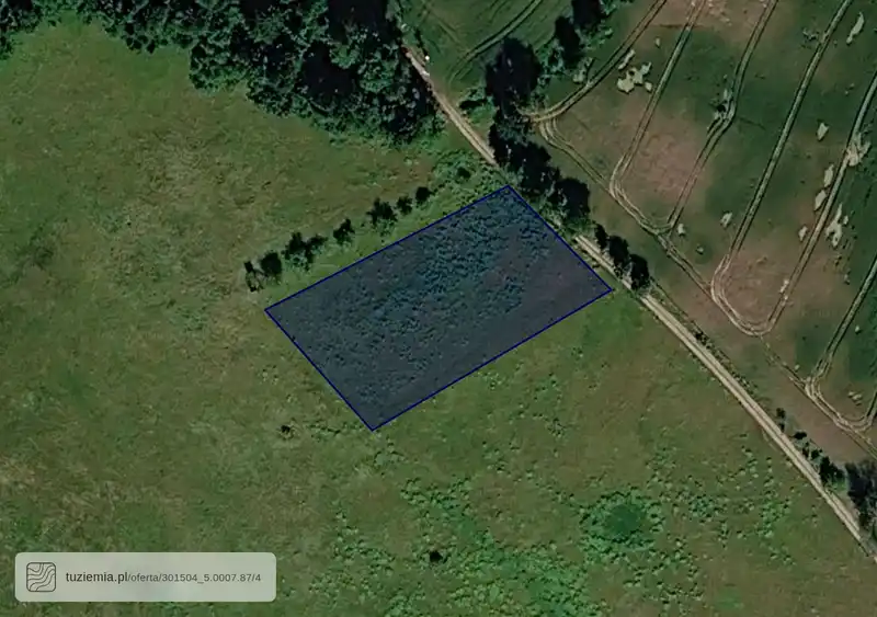 Działka na sprzedaż Grubsko