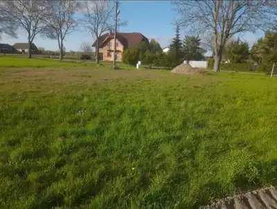 Zdjęcie 2