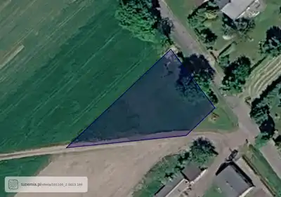Zdjęcie 10