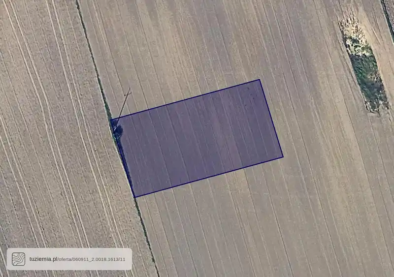 Działka na sprzedaż Nasutów