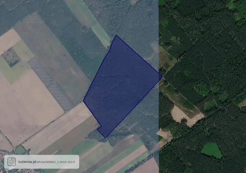 Działka na sprzedaż Rokitnica