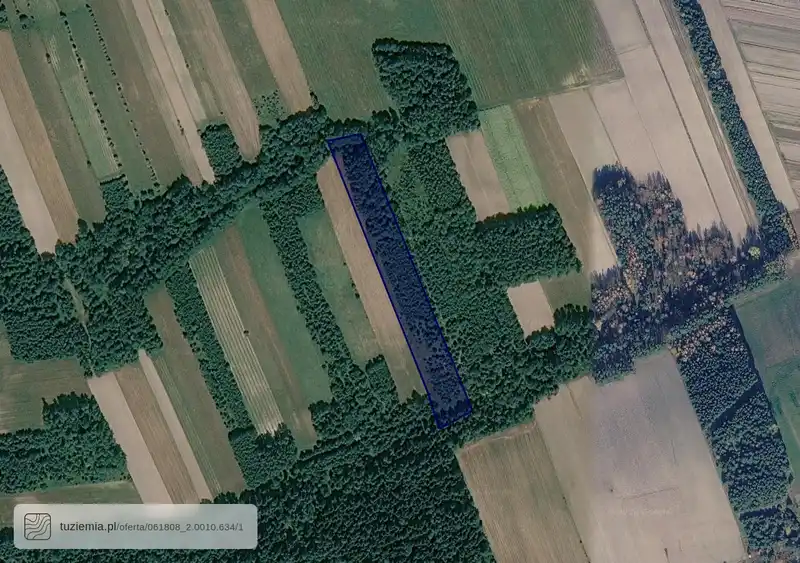 Działka na sprzedaż Ciotusza Nowa