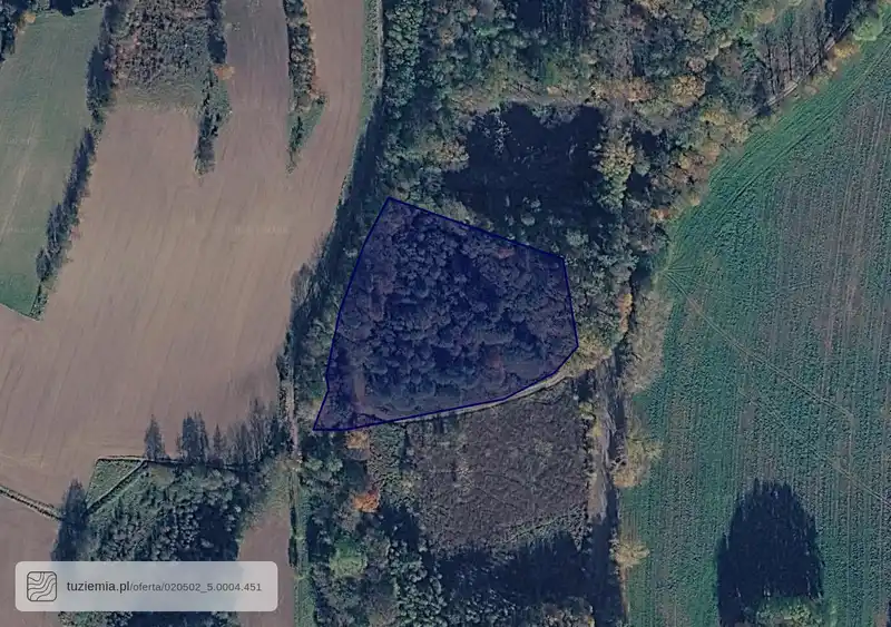 Działka na sprzedaż Lipa