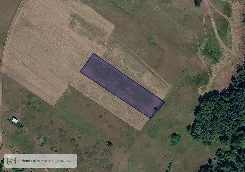 Działka na sprzedaż Wierzbięcin