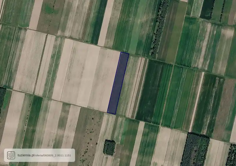 Działka na sprzedaż Pałecznica