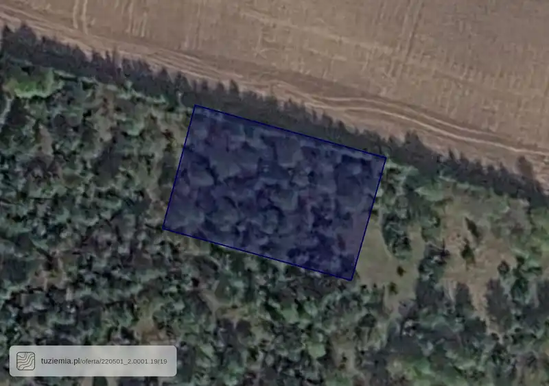Działka na sprzedaż Borzestowo