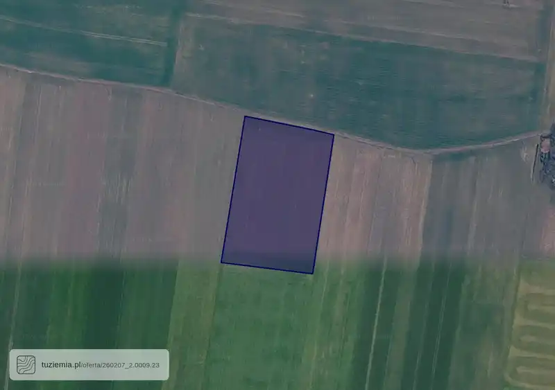 Działka na sprzedaż Sieńsko