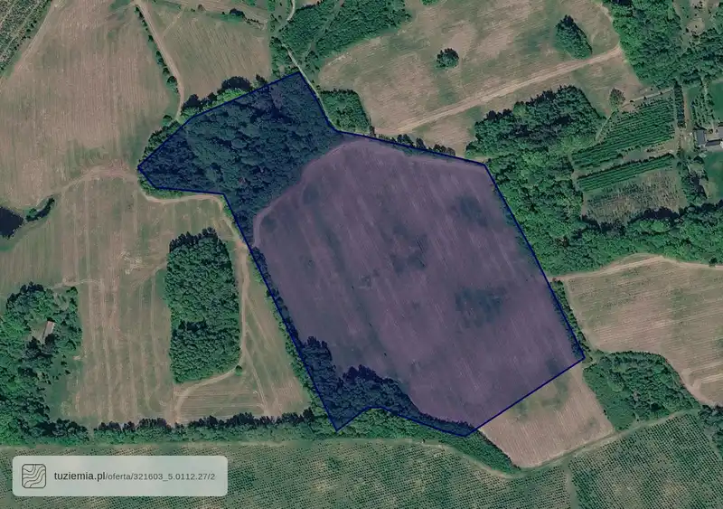 Działka na sprzedaż Kocury