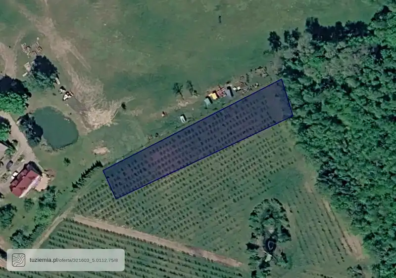 Działka na sprzedaż Kocury