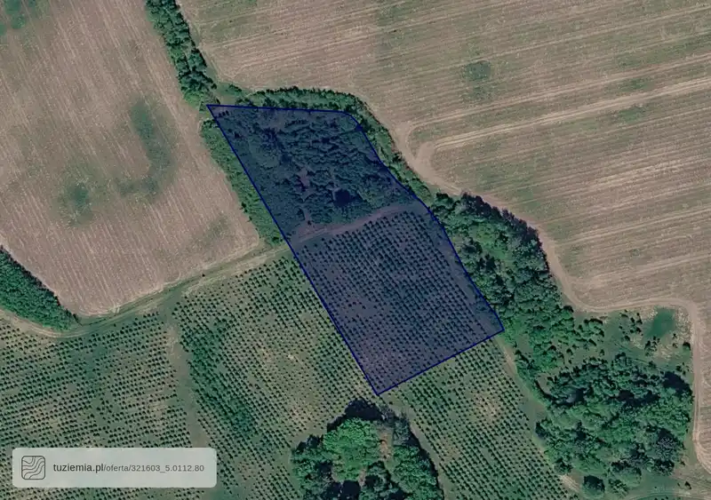 Działka na sprzedaż Kocury