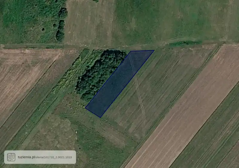Działka na sprzedaż Wierzchlas