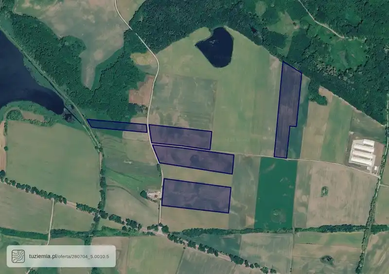 Działka na sprzedaż Limża