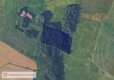 Zdjęcie 3