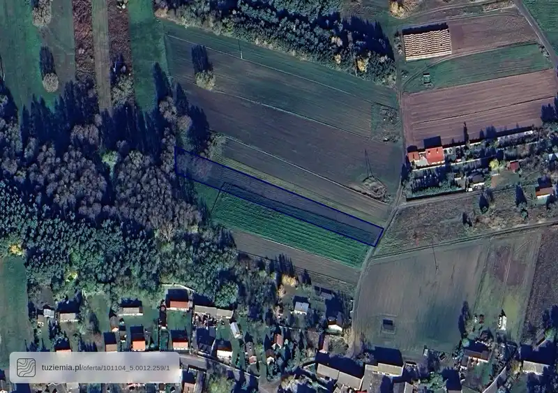 Działka na sprzedaż Kuczki