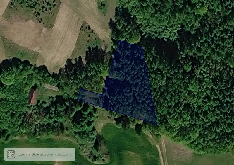 Działka na sprzedaż Maliniak