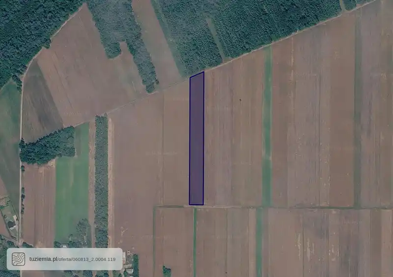 Działka na sprzedaż Jedlanka Stara