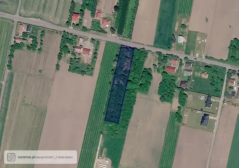 Działka na sprzedaż Orły