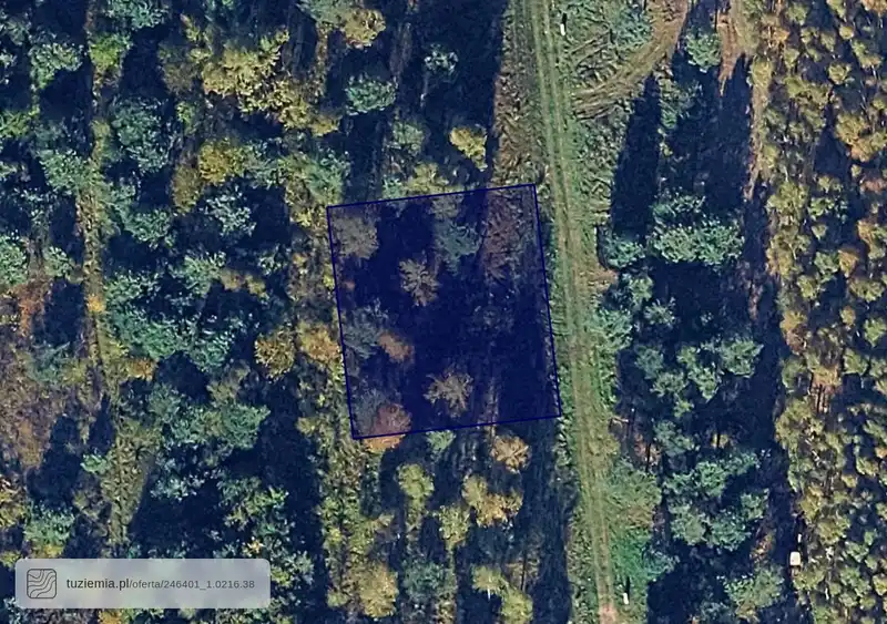 Działka na sprzedaż 216